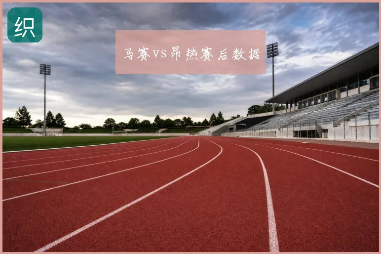马赛vs昂热赛后数据