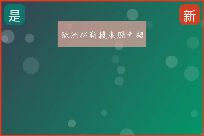 欧洲杯新援表现介绍